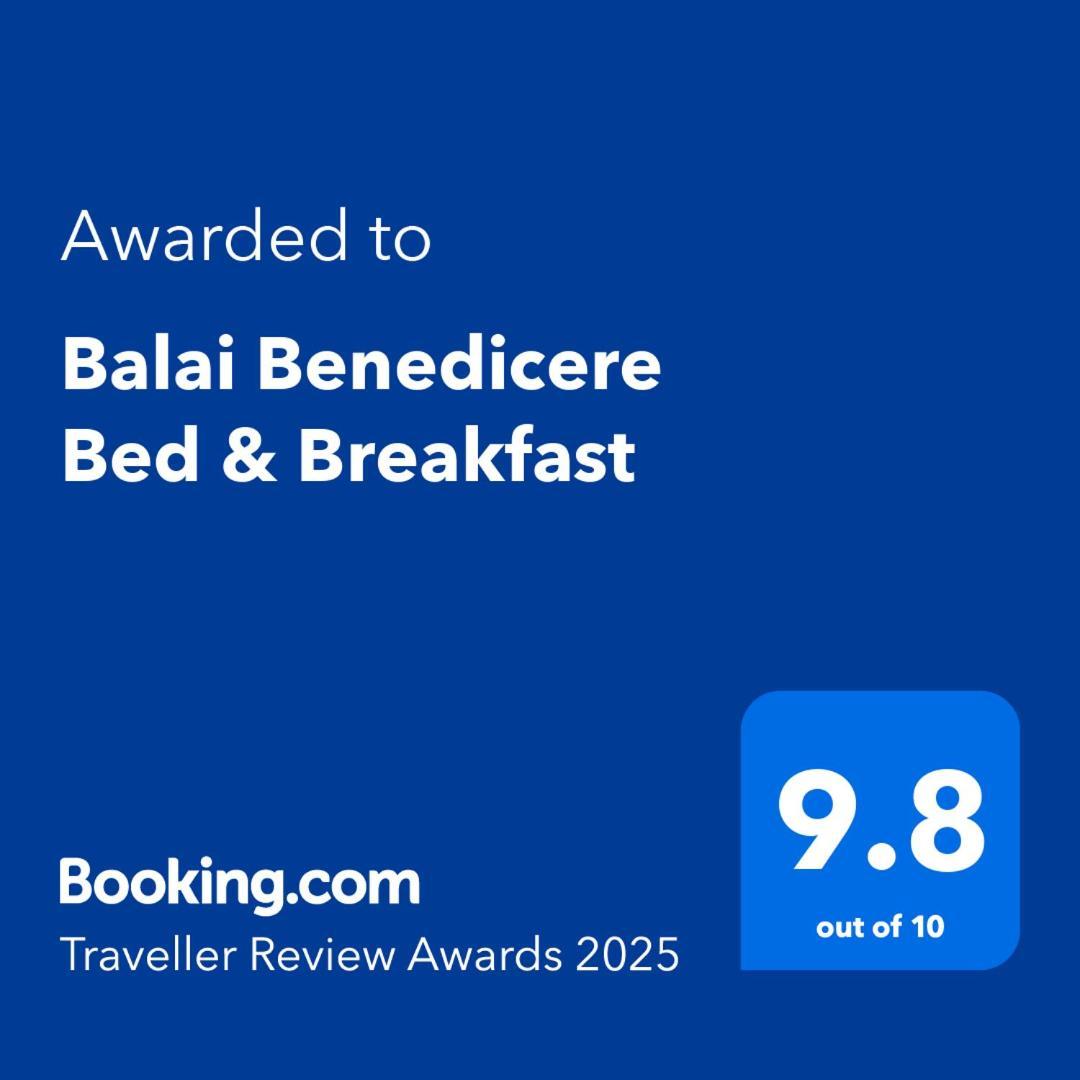 Balai Benedicere Bed & Breakfast Bacnotan Экстерьер фото